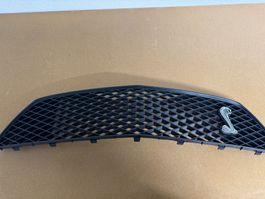 Ford Mustang Shelby 2005 - 2009 oberer Kühlergrill