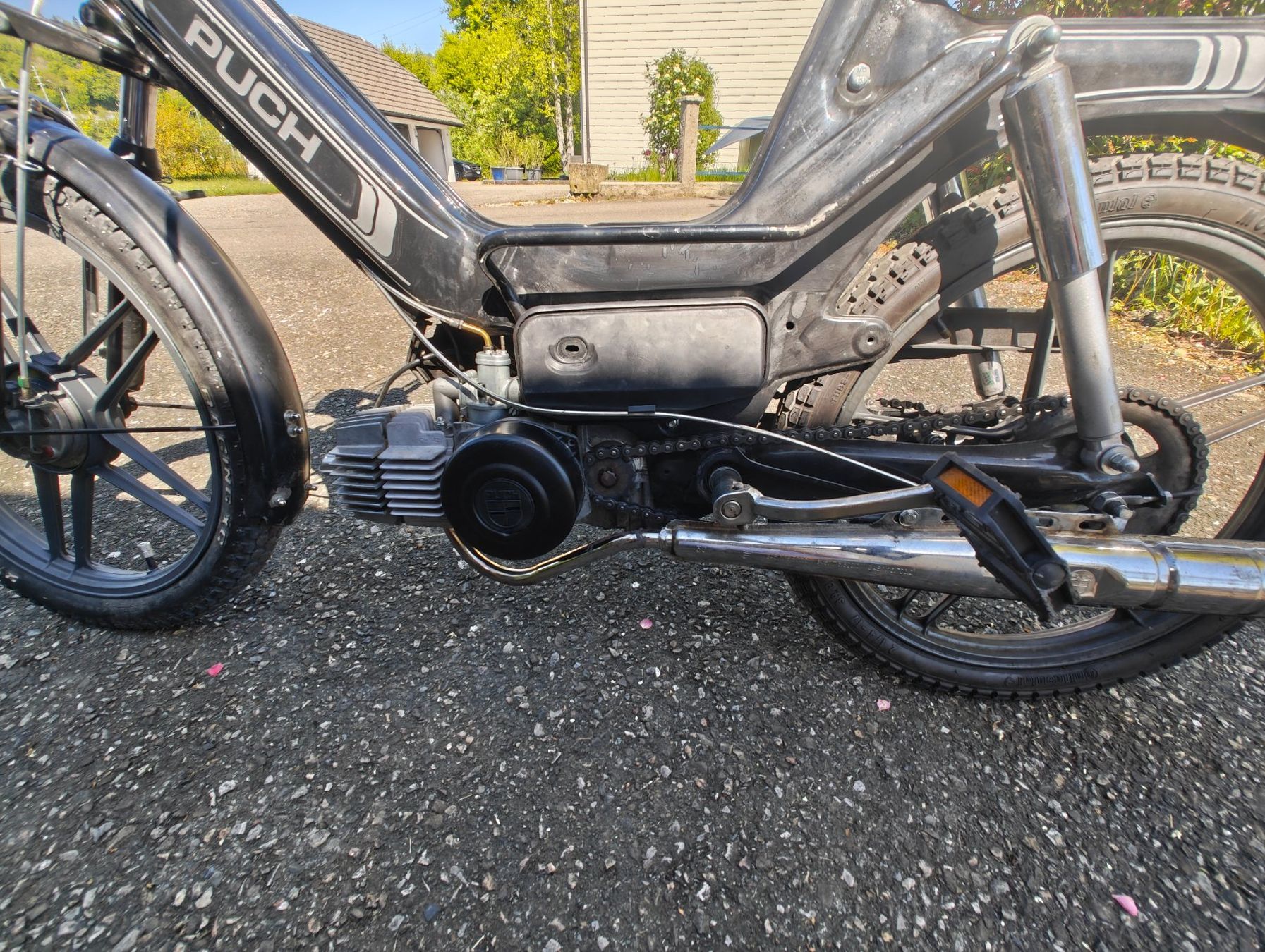 Puch Mofas: Puch Maxi S – Gebraucht aus Boningen von cobu82 4