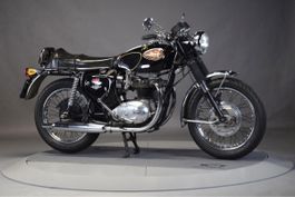 BSA A65 Lightning 03/1971  restaurata