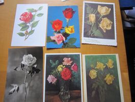 No1 schöne Postkarten Thema Rosen