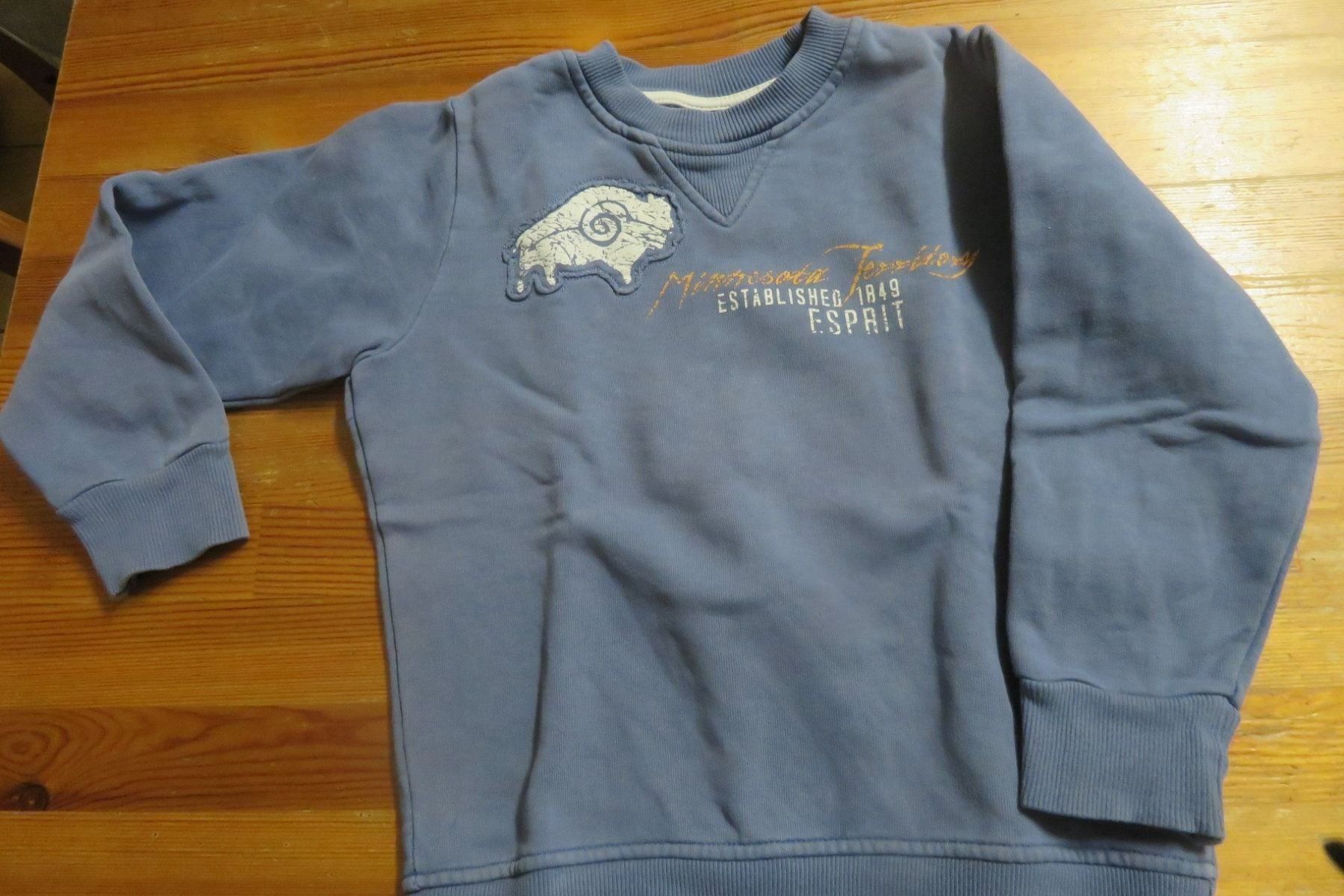 Esprit Maglioni & Felpe: Esprit Sweat-Pullover Gr. 104-110 – Usato da Steckborn venduto da Bibendum02