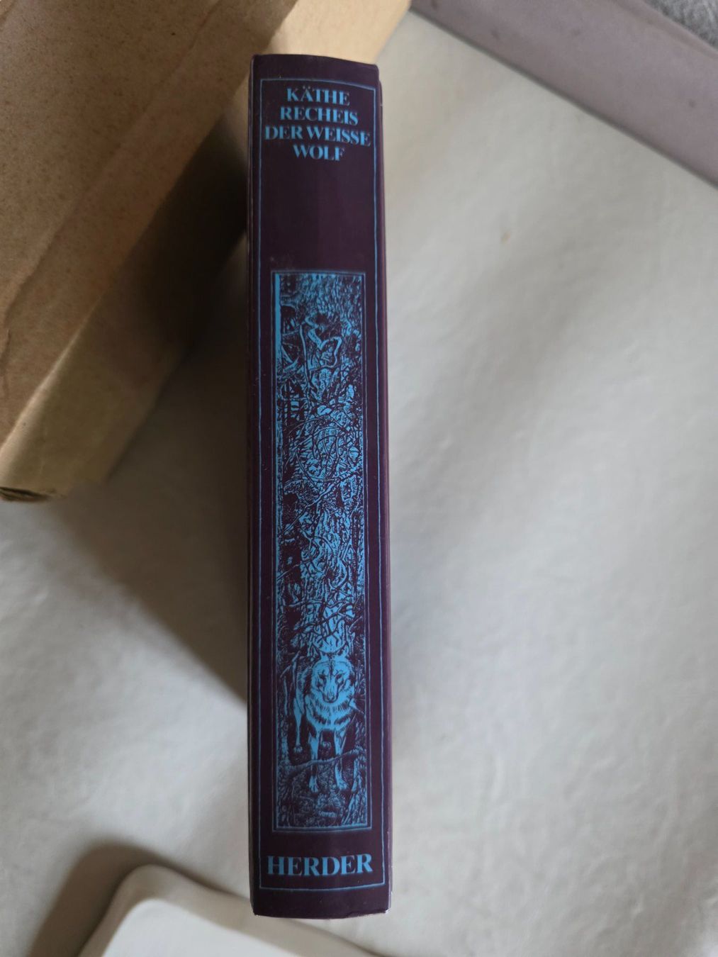 Libri: Käthe Recheis - Der weisse Wolf - 1986 – Usato da Walterswil BE venduto da Lonitti 6