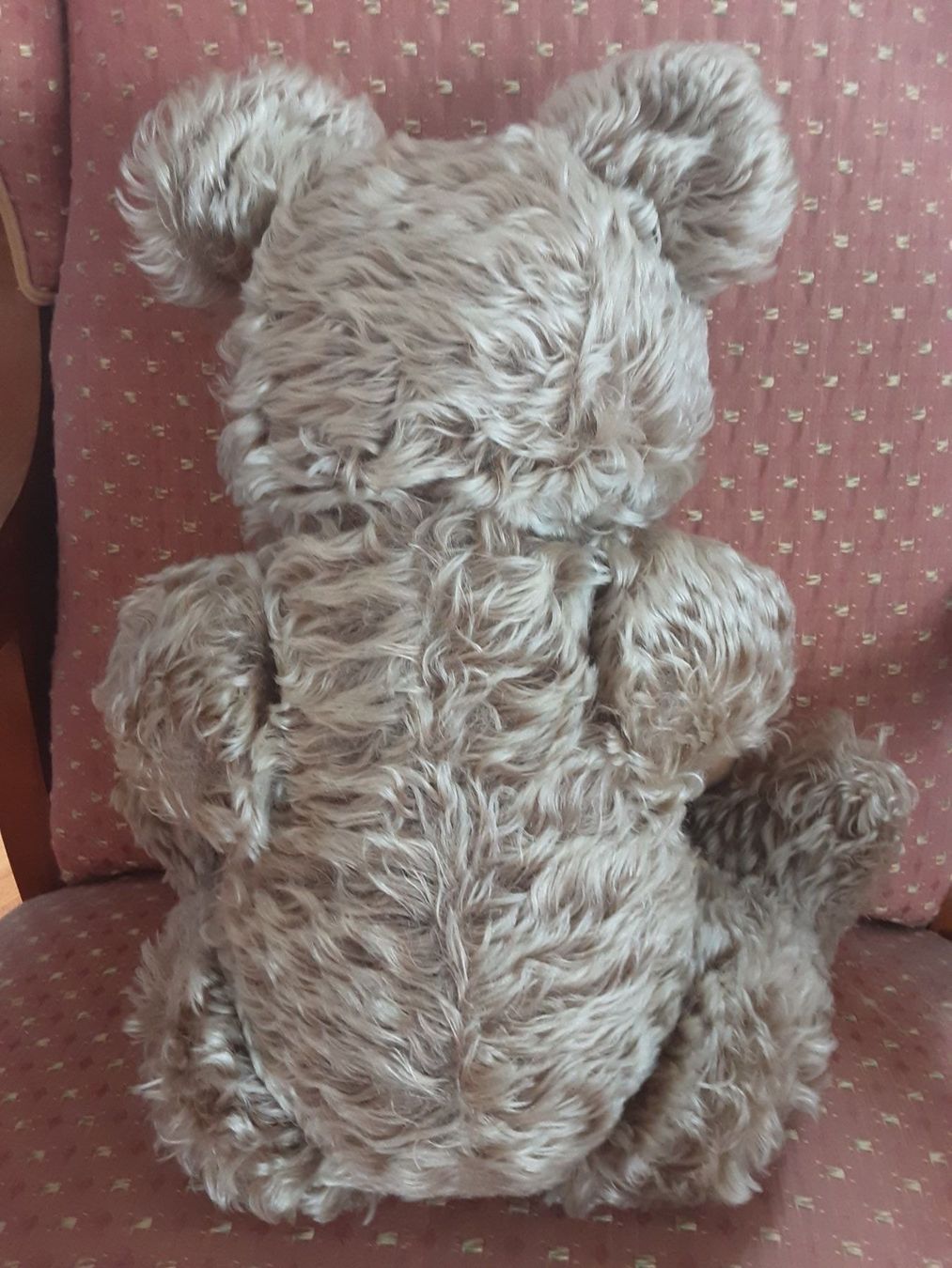 Giocattoli: STEIFF Zotty Teddybär – Usato da St. Gallen venduto da charly92 5