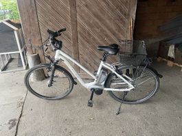 Flyer 25kmh 