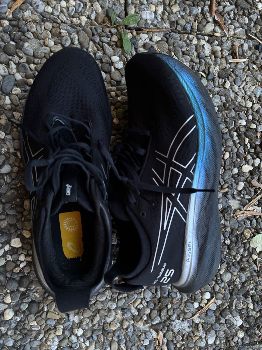 Asics Chaussures hommes: ASICS Gel Nimbus 25 – D'occasion à Gerlafingen par karmate 1