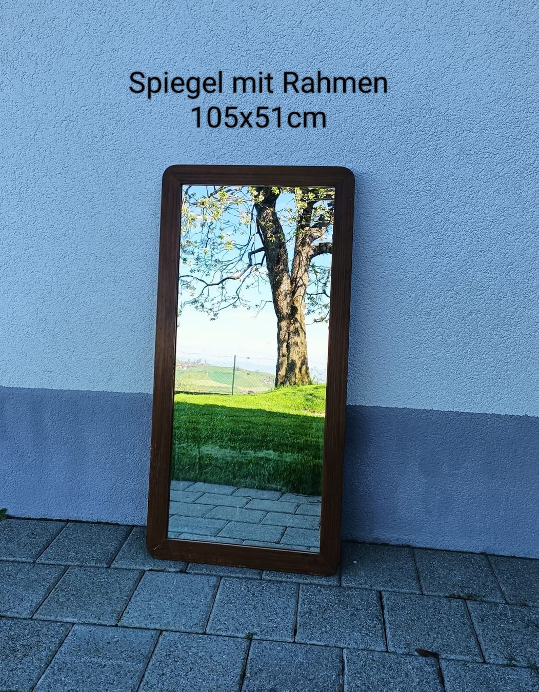 Specchi: Spiegel mi Holzrahmen – Usato da Hinterfultigen venduto da hein81