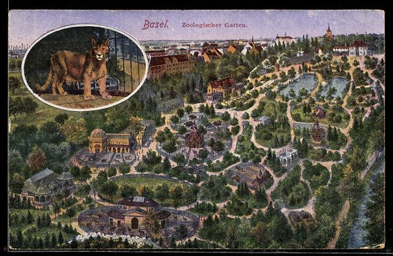 Cartoline postali: Basel, Panorma vom Zoologischen Garten m – Usato da Berlin venduto da bartko-reher