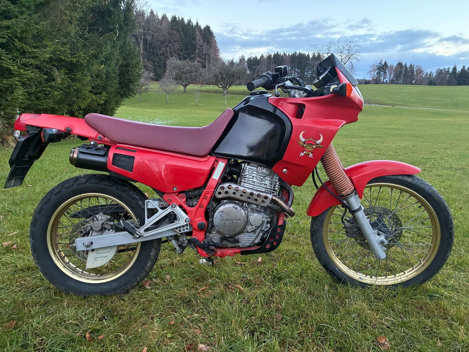 Honda Enduro: Honda Dominator 650 ccm – Usato da St. Gallen venduto da MarkoBoss 1