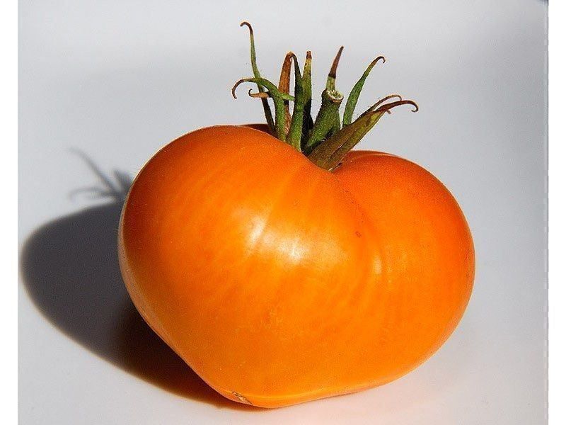 Piante & sementi: 50 Samen GERMAN ORANGE Strawberry Tomate – Nuovo (secondo la descrizione) da Ehrendingen venduto da VerveinaSamen 5