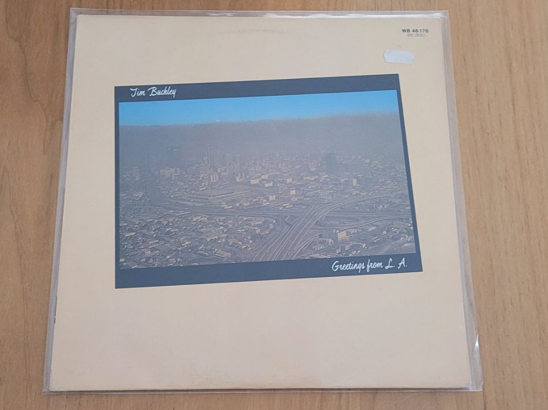 Vinyles: LP  Tim Buckley – D'occasion à Martigny par MZ-67