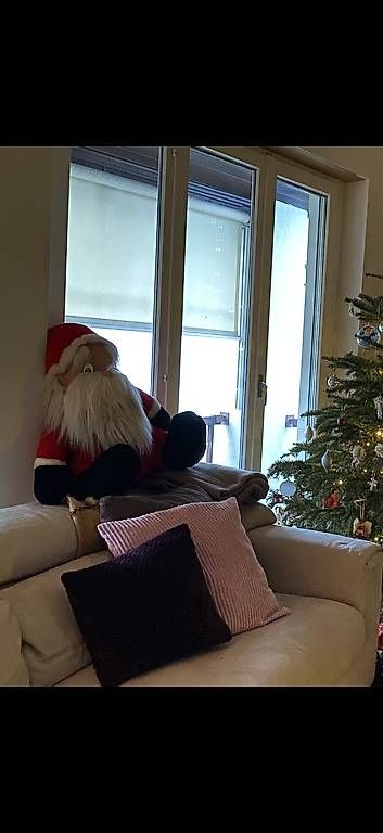 Tutte le decorazioni: Babbo Natale – Usato da Novazzano venduto da sol_vk8x 2