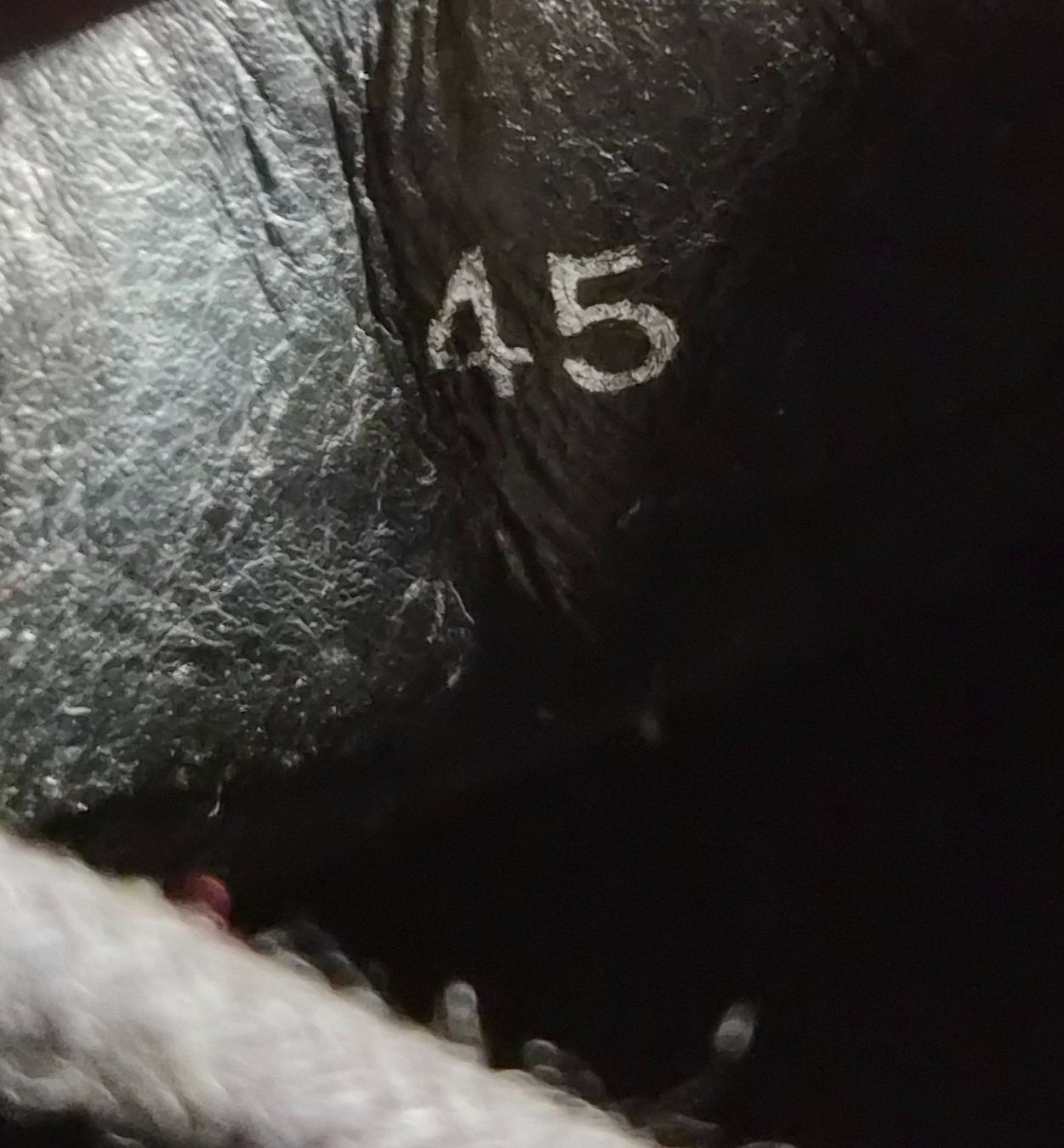 Herrenschuhe: Halbschuhe Gallus Grösse 45 – Gebraucht aus Hägglingen von pri_zdz5 5