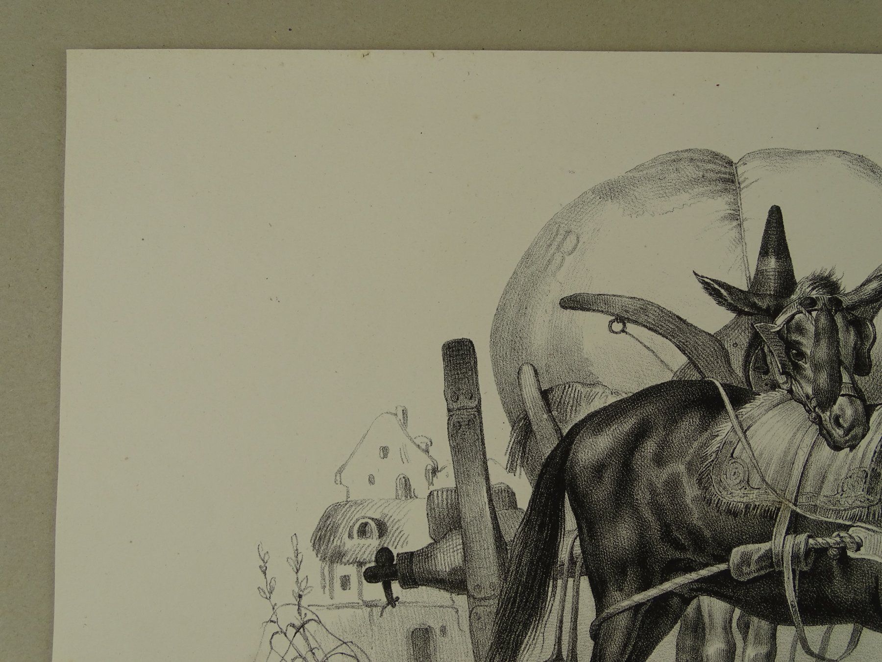 Gravures: MAULESEL, MAULTIER, LITHOGRAPHIE UM 1840 – D'occasion à Grüningen par Kartensammler 3