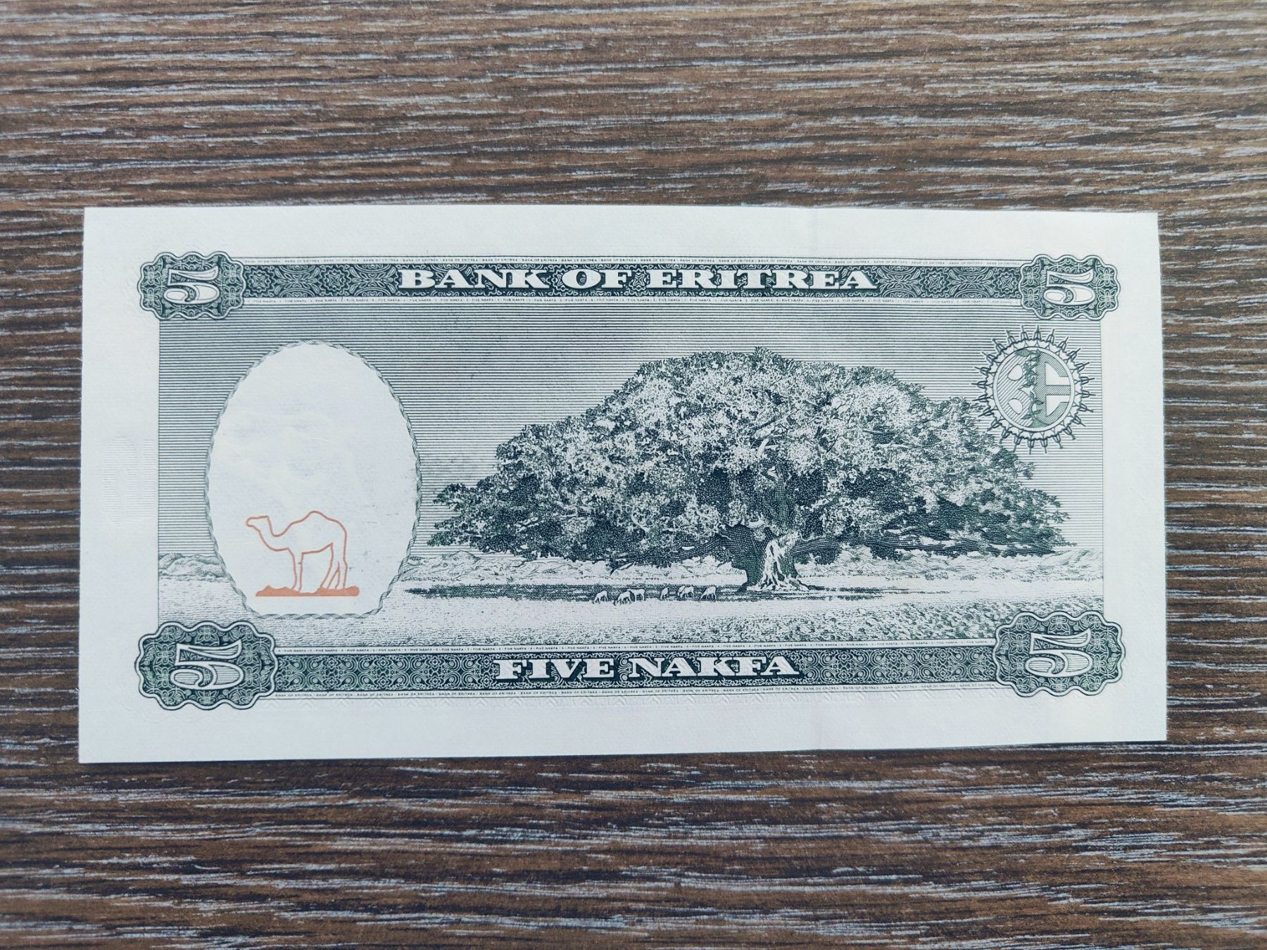 Billets de banque: Eritrea 5 Nafka 1997, unc. !!!!!!!! – Neuf (Voir description) à Flaach par Lonzo99 1