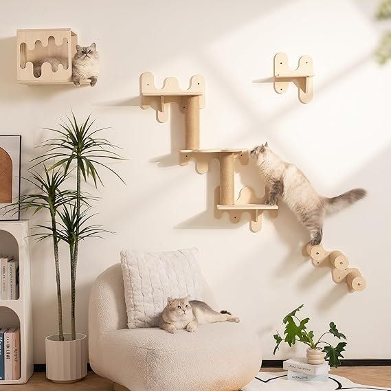 Pareti & prese d'arrampicata: Katzen-Wandregale aus Holz, 4er-Pack – Nuovo e nell'imballaggio originale da Oberentfelden venduto da sch_8bt6 5