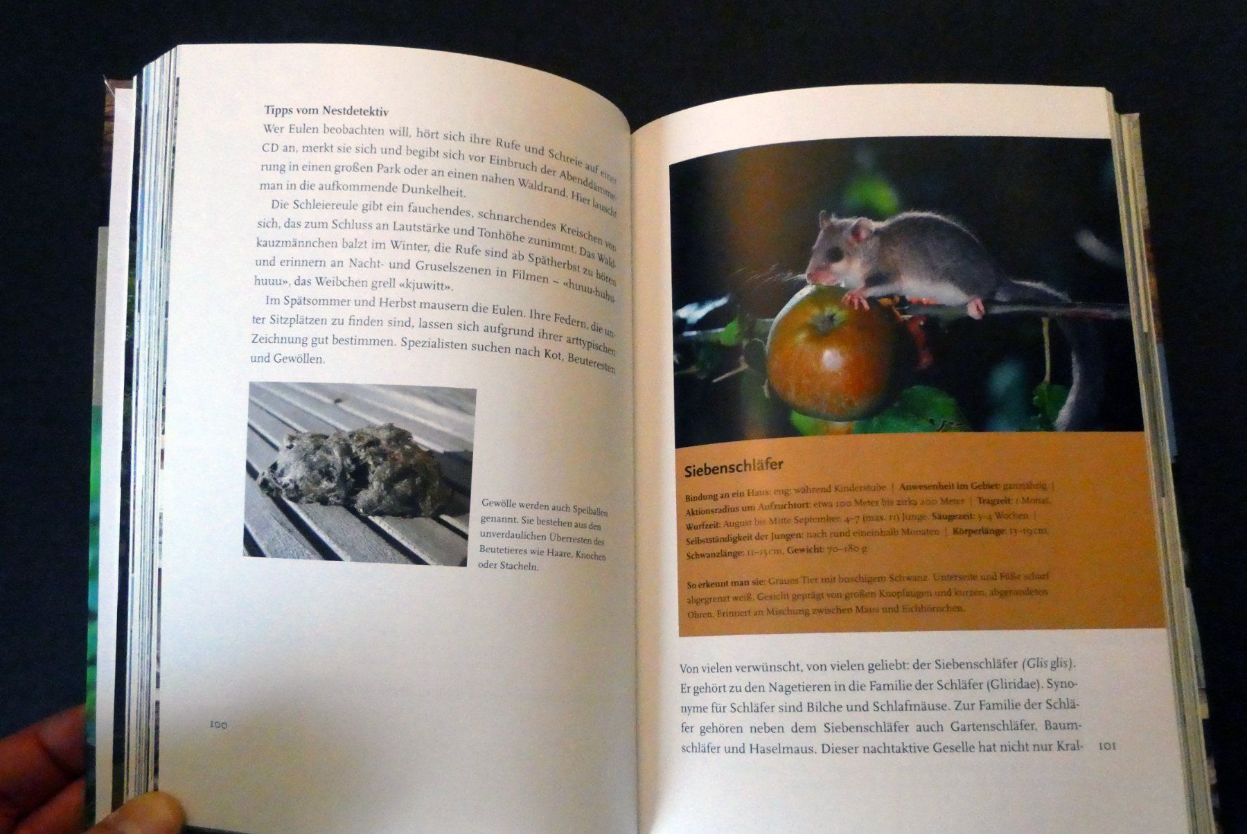 Libri: Wildtiere. Hausfreunde und Störenfriede – Usato da Zollikofen venduto da Hci 5