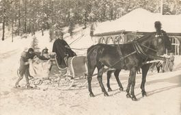Muottas Talstation - Private Foto-AK mit Pferdeschlitten