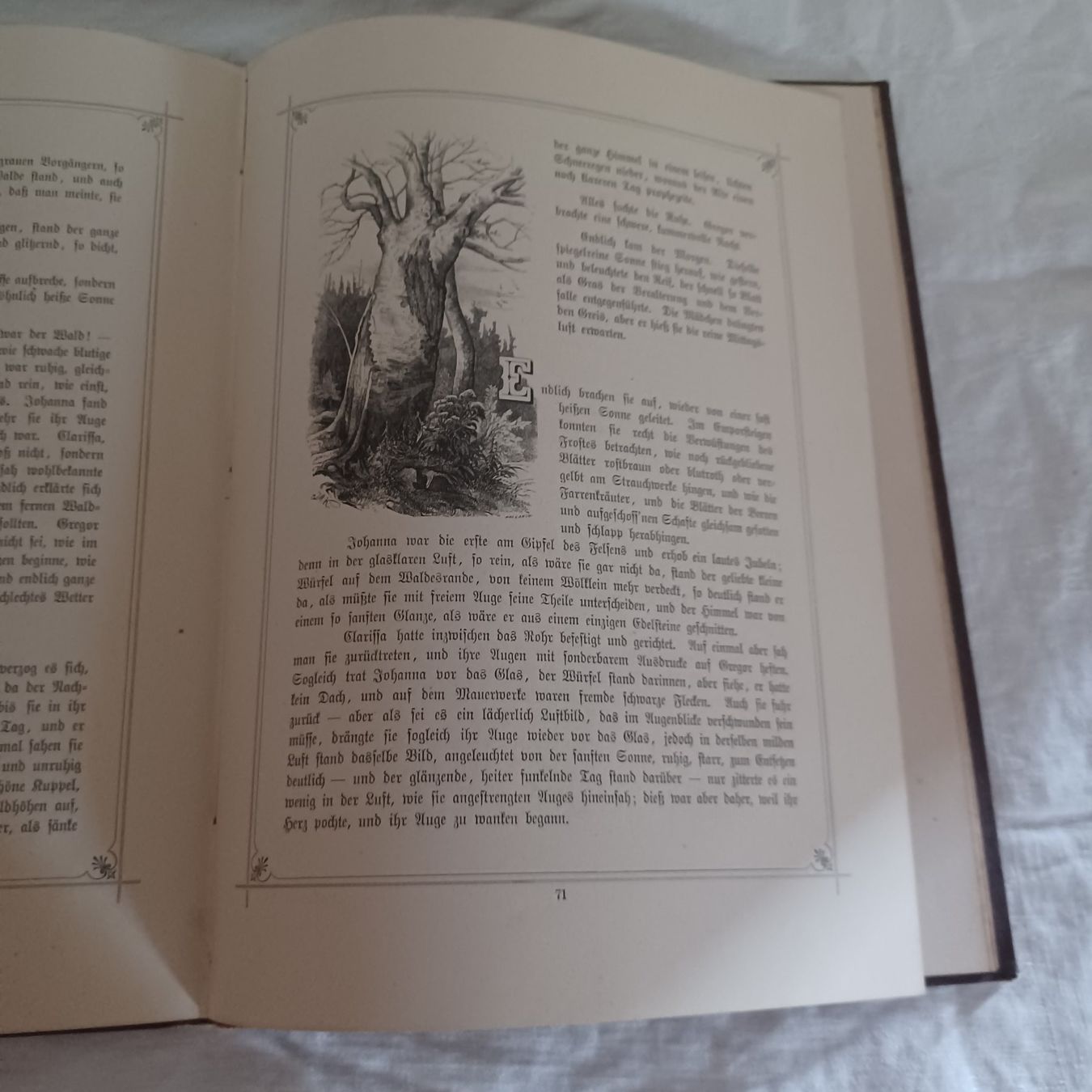 Livres: Buch derHochwald Leibzig1882 – D'occasion à Abtwil SG par luupsy 5