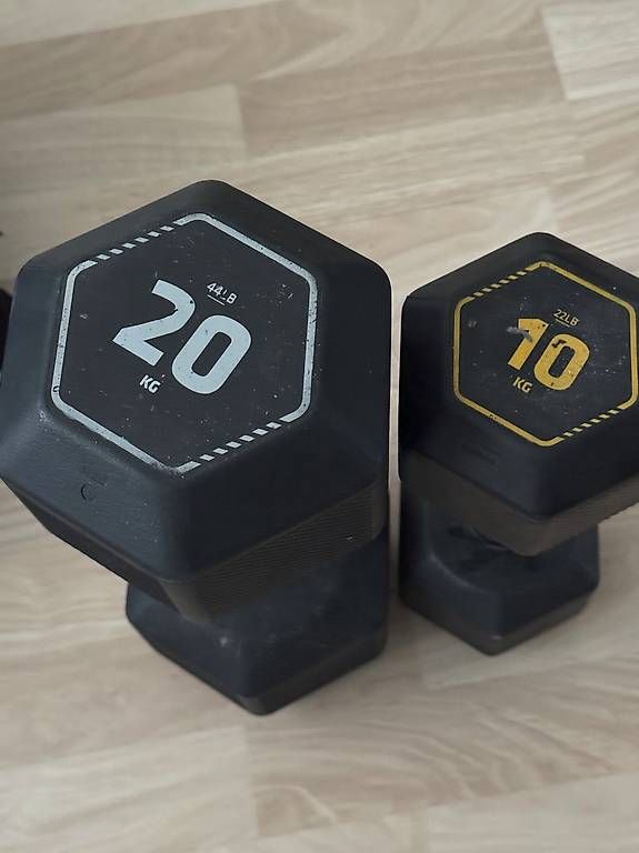 Poids & Haltères: 2 Hanteln 20kg und 10 kg – D'occasion à Winterthur par erl_6kk7