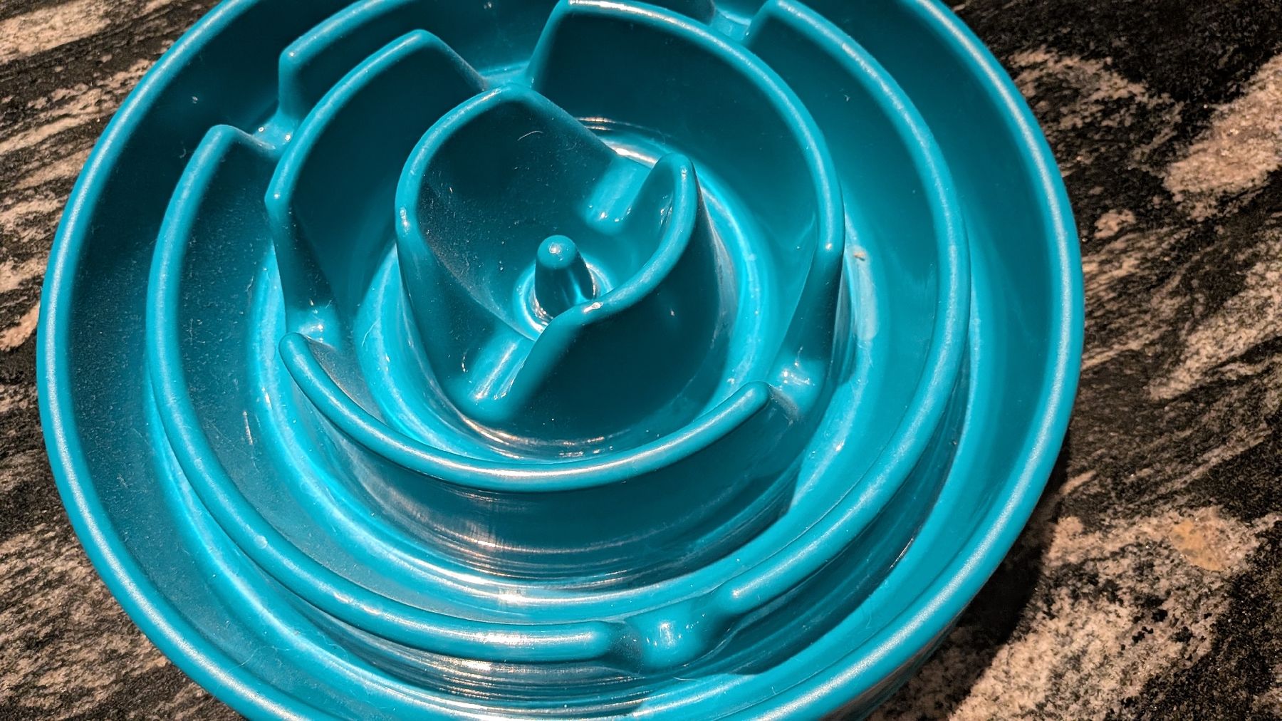 Futter: neuer Futter Napf  – Neu (gemäss Beschreibung) aus Wattenwil von karinschaw 1