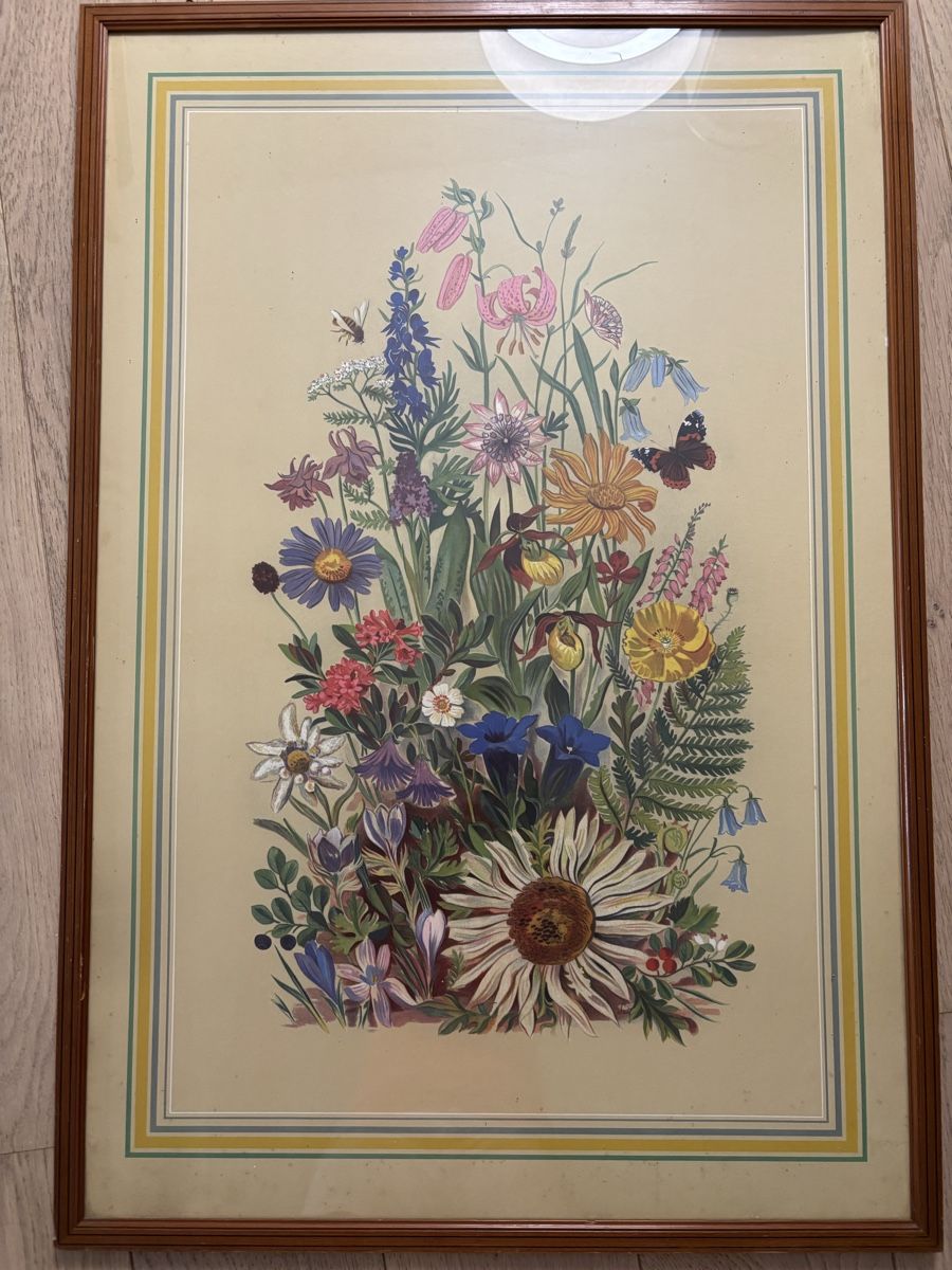Dipinti: Tableau fleurs de Alpes rétro – Usato da Estavayer-le-Lac venduto da bde_mc5x