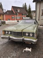 1975 Ford LTD 6.6 V8 Projekt