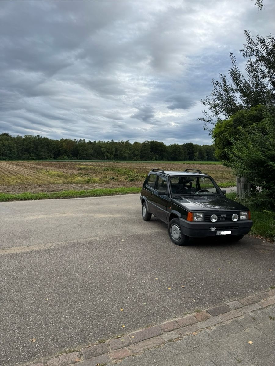 Fiat Automobili: Fiat Panda 141, 900er – Usato da Frauenfeld venduto da kaf_s6q7 3