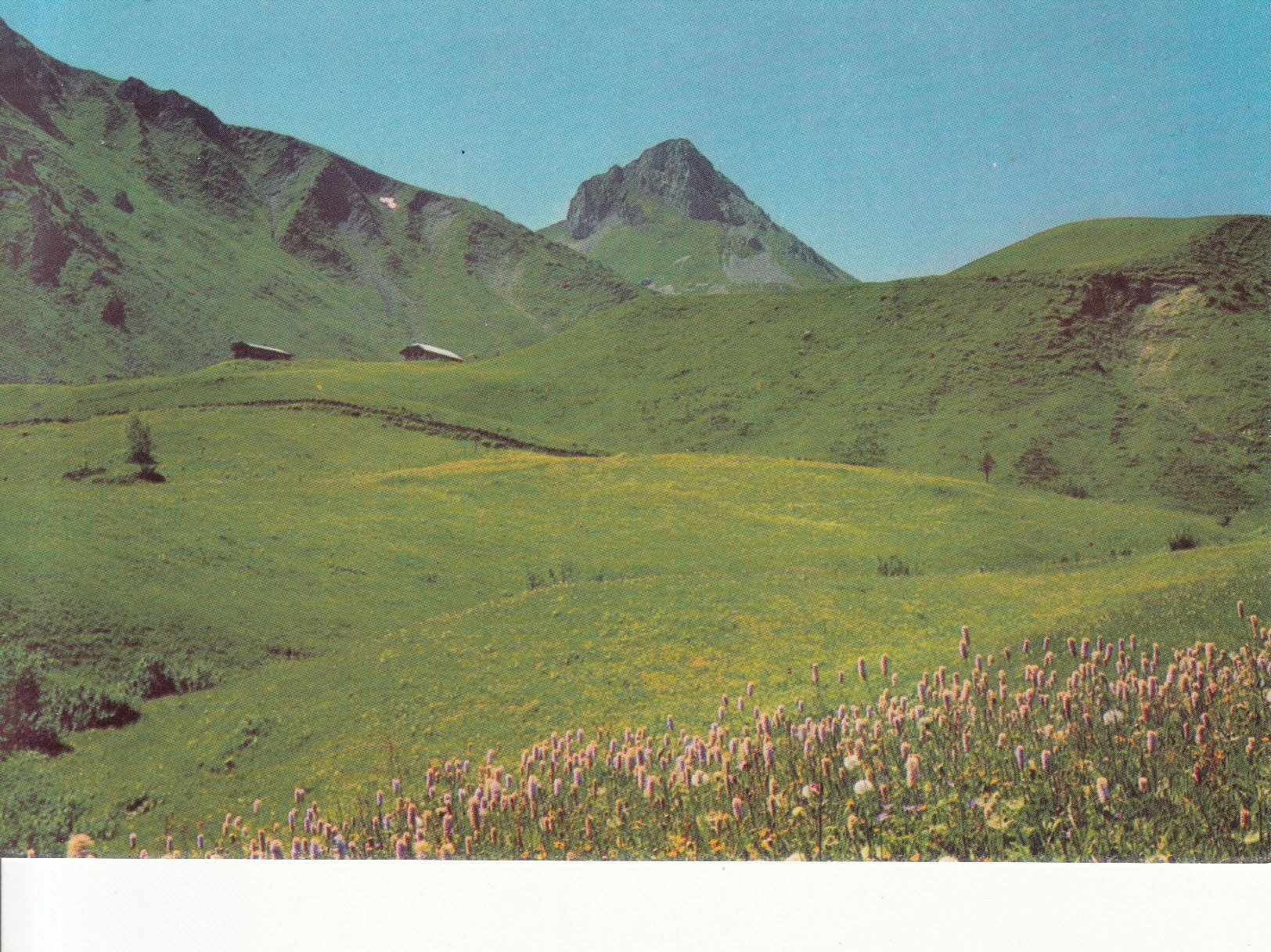 Cartoline postali: Adelboden Geils ca. 1970 – Usato da Bürglen TG venduto da StampGraf