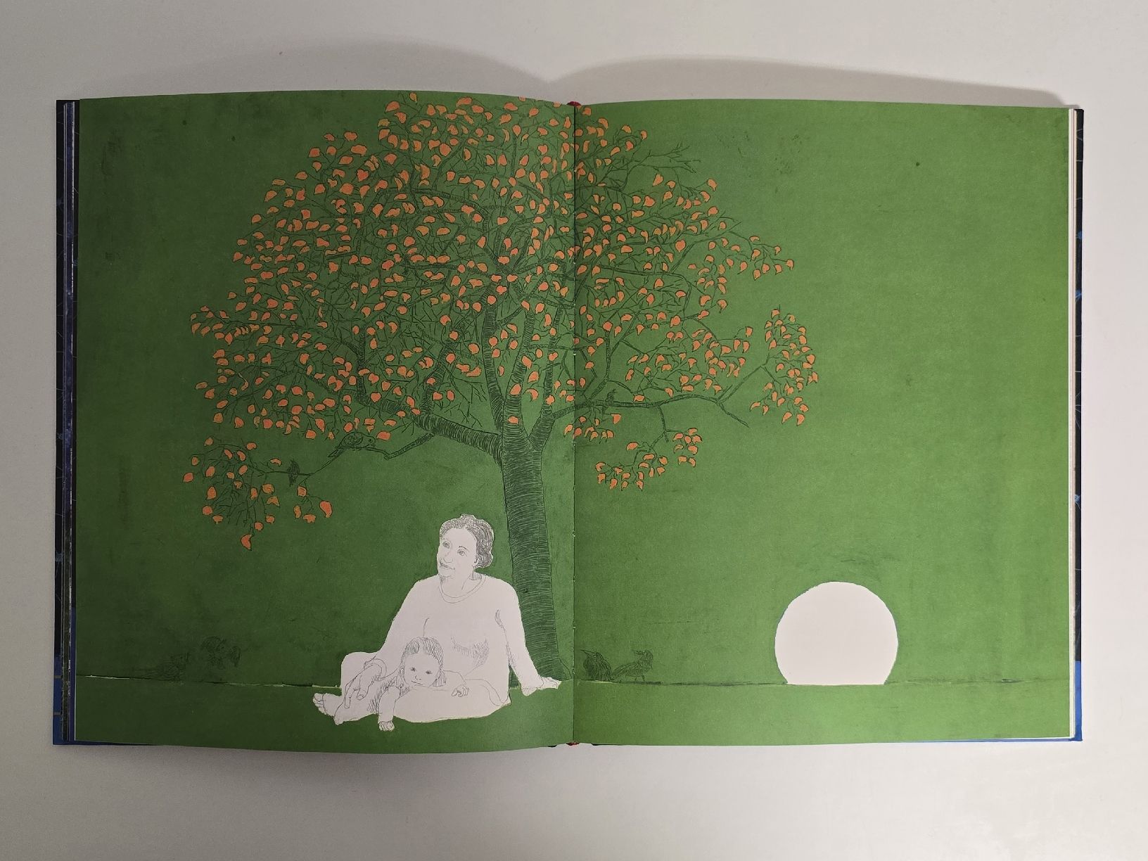 Libri: Liederbuch die schönsten Wiegenlieder mit CD wunderschön – Usato da Teufenthal AG venduto da thuzsu 3