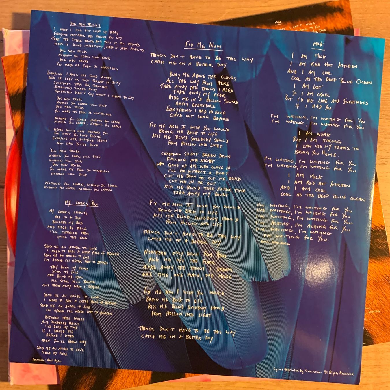 Vinyles: GARBAGE - GARBAGE...RE US 2015 RED...NM/EX – D'occasion à Gals par Diskopatshop 5
