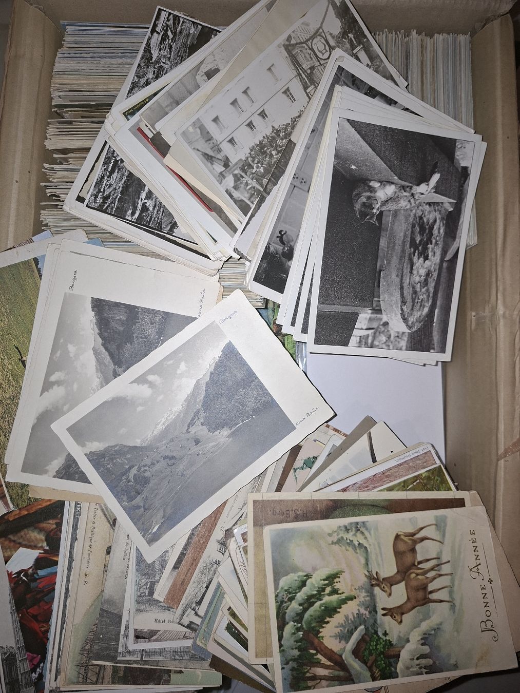 Cartoline postali: über 10KG Ansichtskarten und Kitch undurchsucht – Usato da Balgach venduto da SIMEON27 4