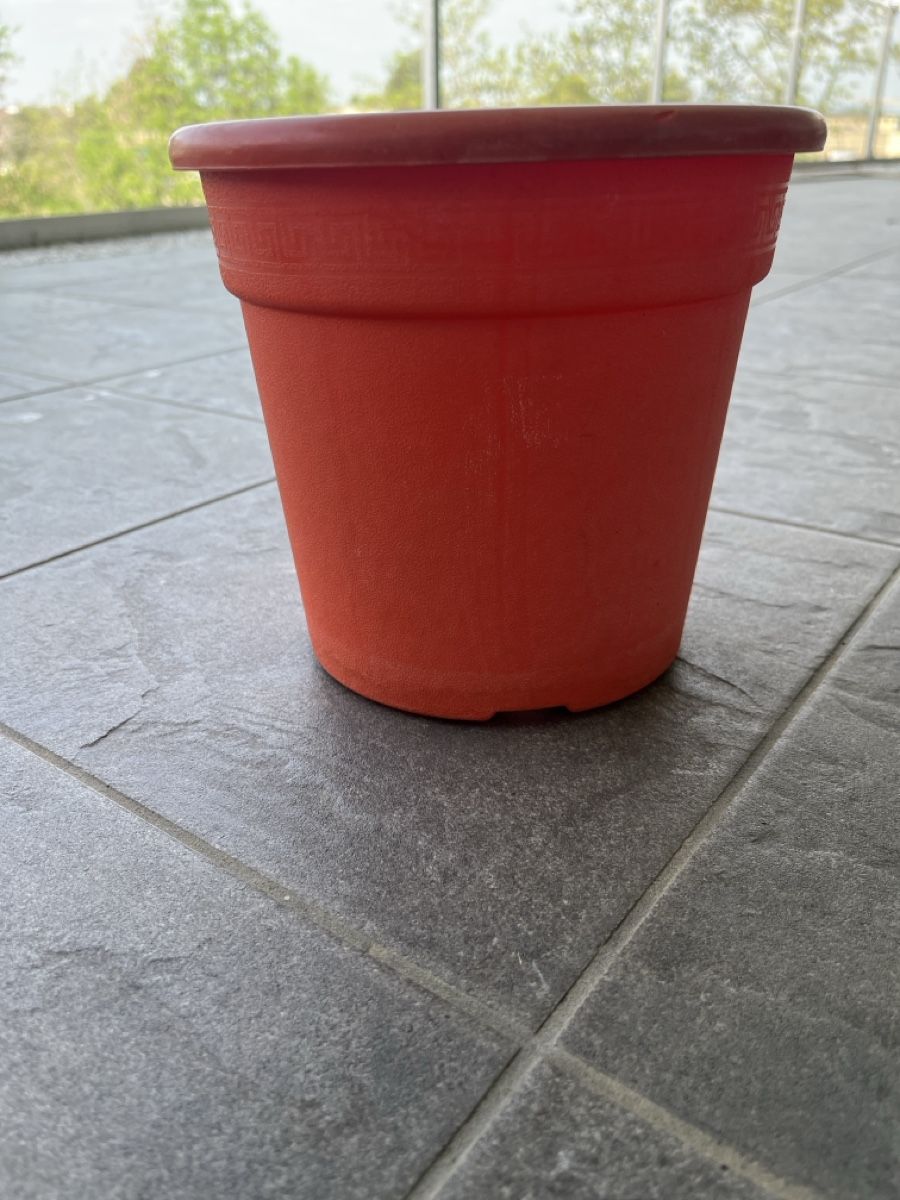 Vasi per fiori: 5 pots divers pour le jardinage – Usato da Mont-sur-Lausanne venduto da Pioutch 1