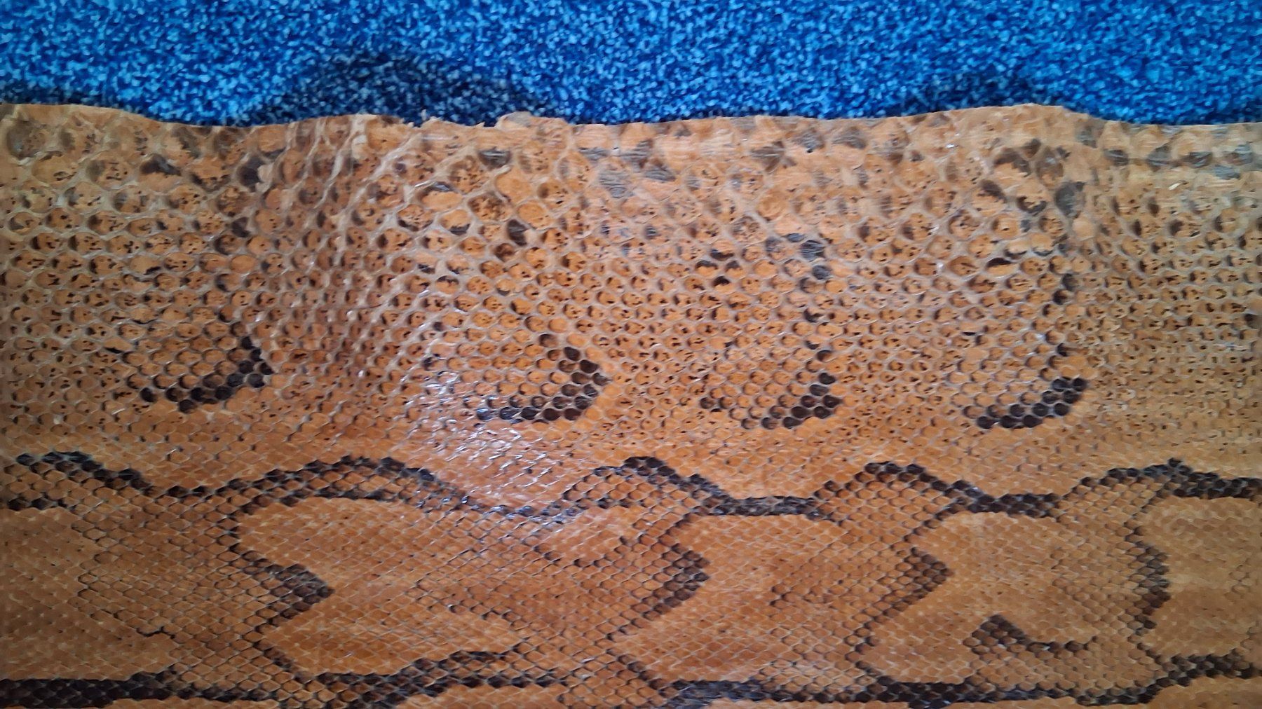 Toutes les décorations: Echtes Python Leder Haut, Basteln, Handwerk, Deko, Top! – D'occasion à Schwende par hetocht10 1