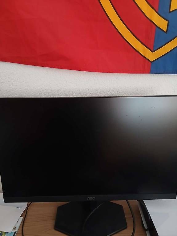 Monitor: Monitor 24 zoll – Usato da Oberbipp venduto da nadeschkin85