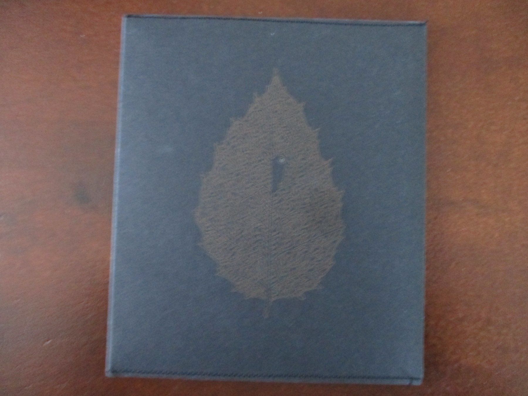 CD: Dear John Letter  -  Between Leaves/Forestal – Usato da Liestal venduto da Disc-Point