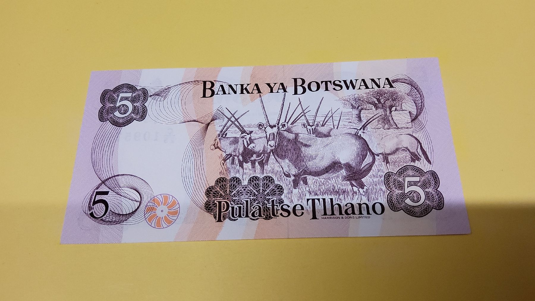 Banknoten: Botswana 5 Pula 1991, P25, seltene Banknote – Neu und originalverpackt aus Herisau von Nluanalucas 1