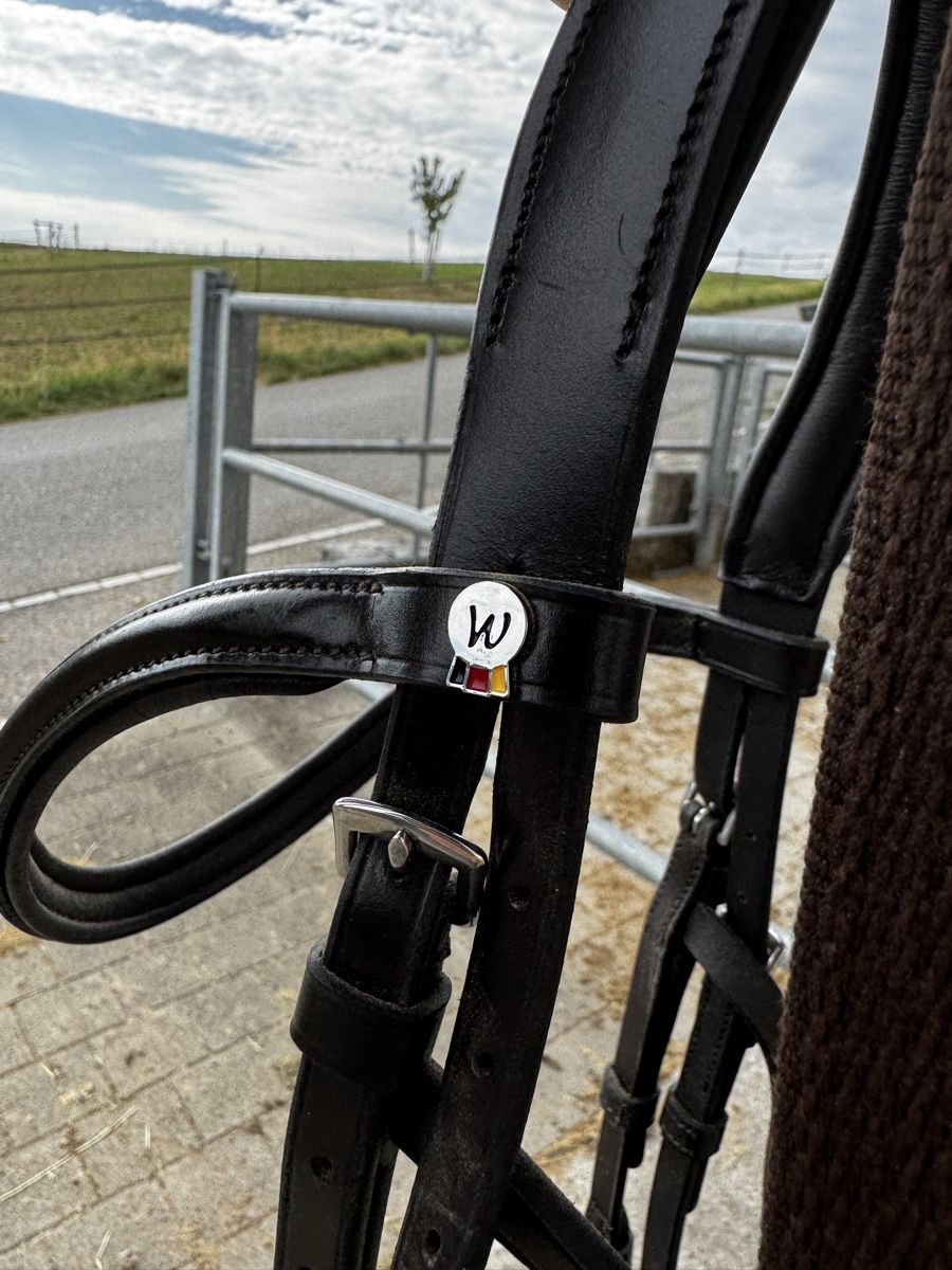 Zaumzeug & Halfter: Hackamore dunkelbraun Waldhausen – Neu (gemäss Beschreibung) aus Oetwil am See von LuniGW 2
