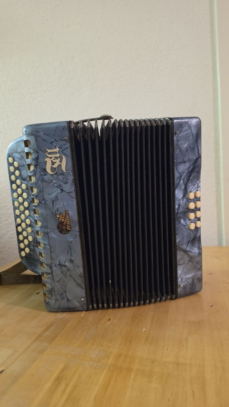 Hohner Strumenti musicali: Handharmonika Tell – Usato da Rheinfelden venduto da Ragg 3