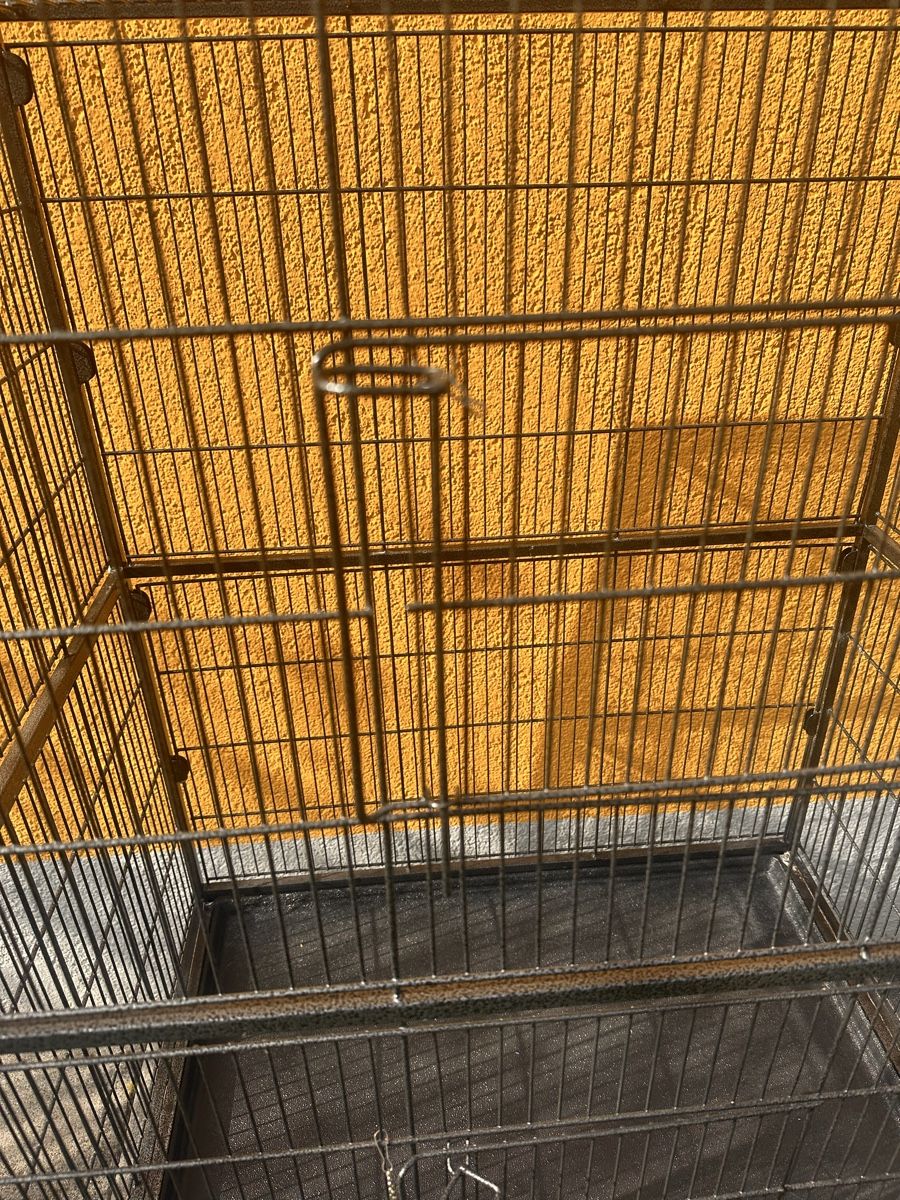 Cages, transport & sécurité: Large rolling cage - Perfect for your parrots 🦜✨ – D'occasion à Winterthur par aykutkozandagi 3