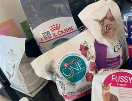 Hochwertiges Trockenfutter Katze