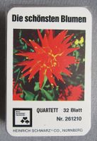 Quartett  - Die schönsten Blumen - mit 32 Karten