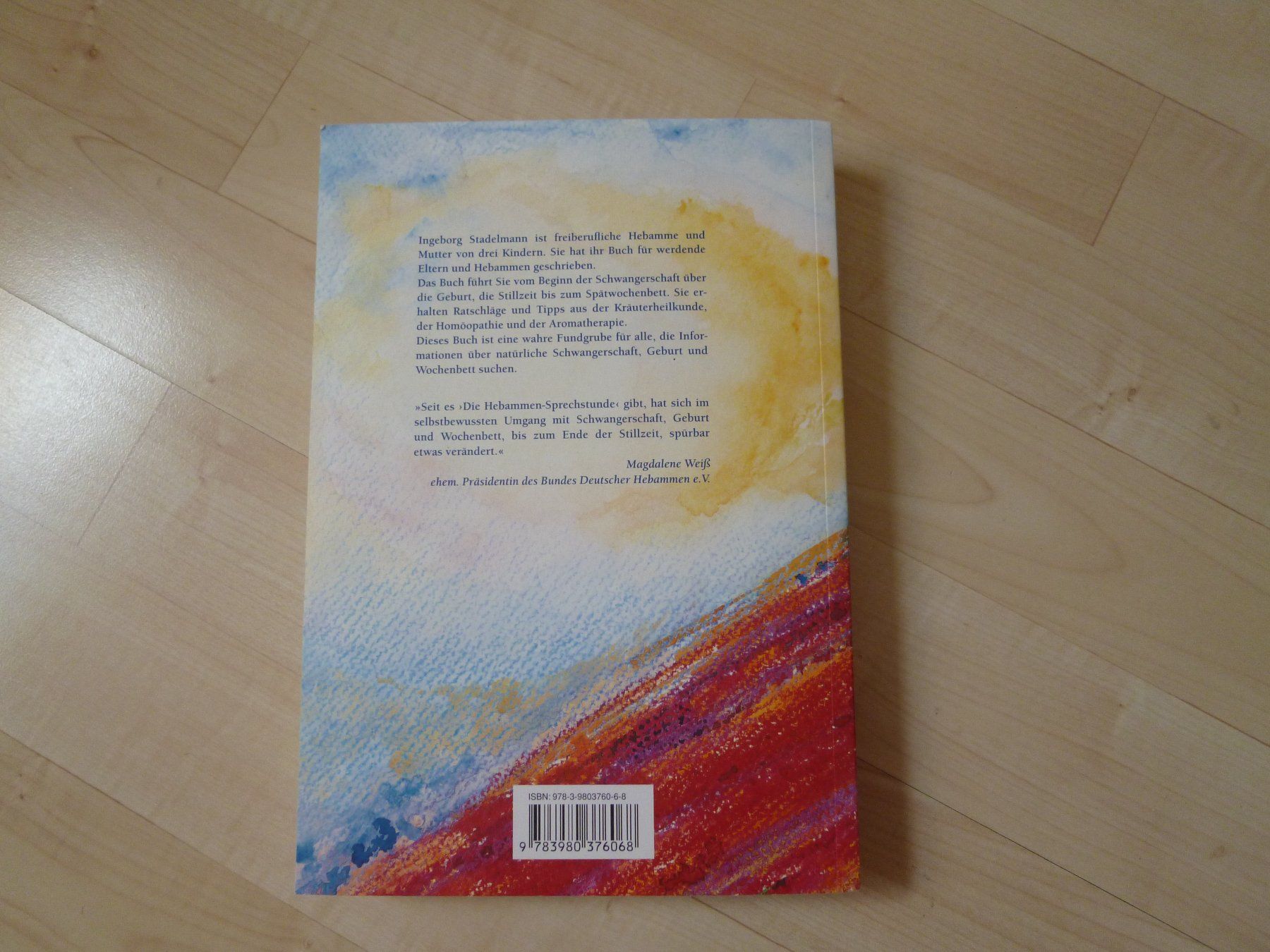 Libri: Die Hebammen-Sprechstunde  Ingeborg Stadelmann – Usato da Dättlikon venduto da Mamakuga 5