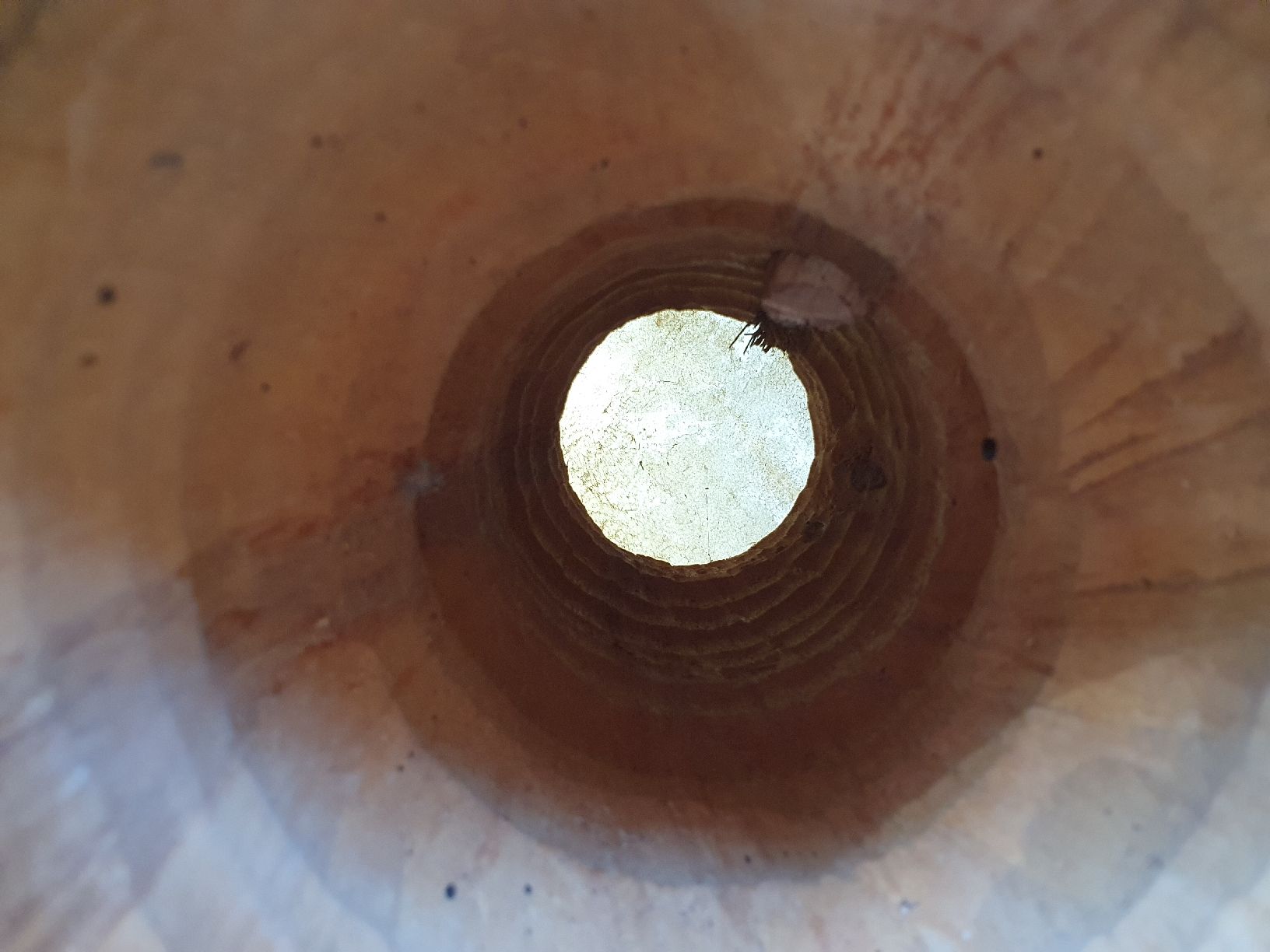 Strumenti musicali: Handgemachte Djembe Trommel mit Sound - Defekt – Difettoso da Aathal-Seegräben venduto da Ru.Fi 4