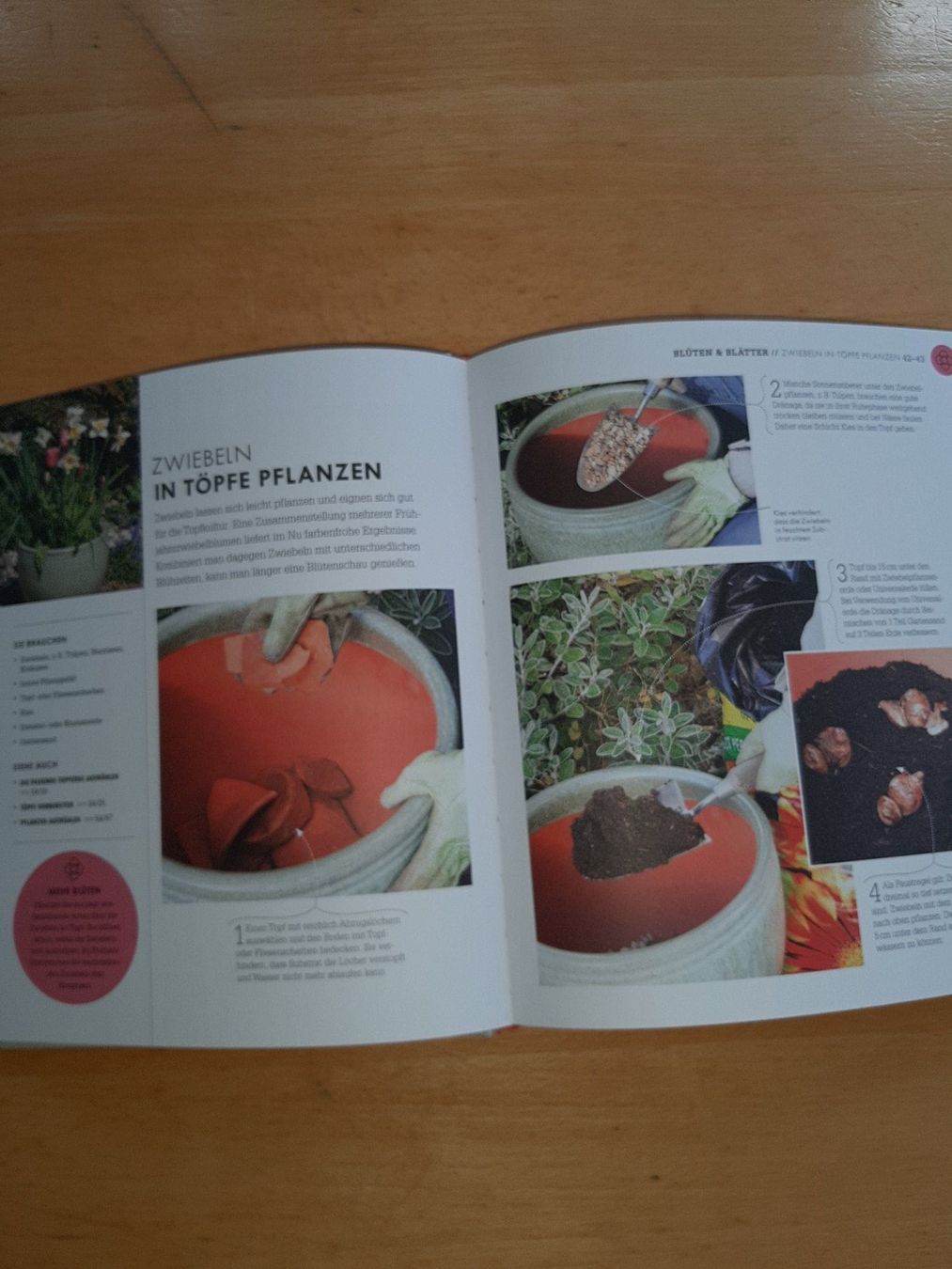Bücher: So geht Garten: Das Gartenbuch für Einsteiger – Gebraucht aus Rotkreuz von nigal 6