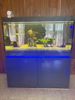 Eheim Aquarium 500L avec poisons , noiture et machines