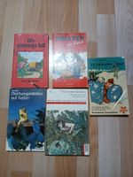 Alte Kinderbücher (20tes J.H.)