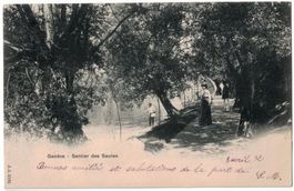 Genève, Sentier des Saules, animée, circulée 1902