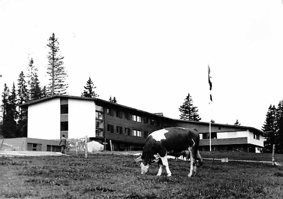 Cartoline postali: GRUSS aus SAANENMÖSER - alte BERNER Ansichtskarte – Usato da Winterthur venduto da SchatzchischtliWinti