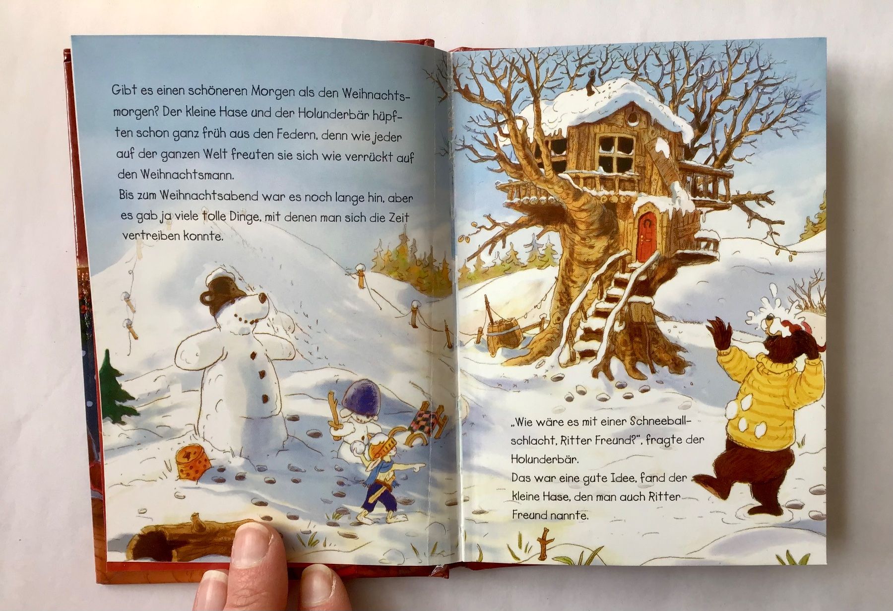 Libri: Die verlorene Weihnachtspost - Walko – Usato da Bubendorf venduto da Alpenheidi 3