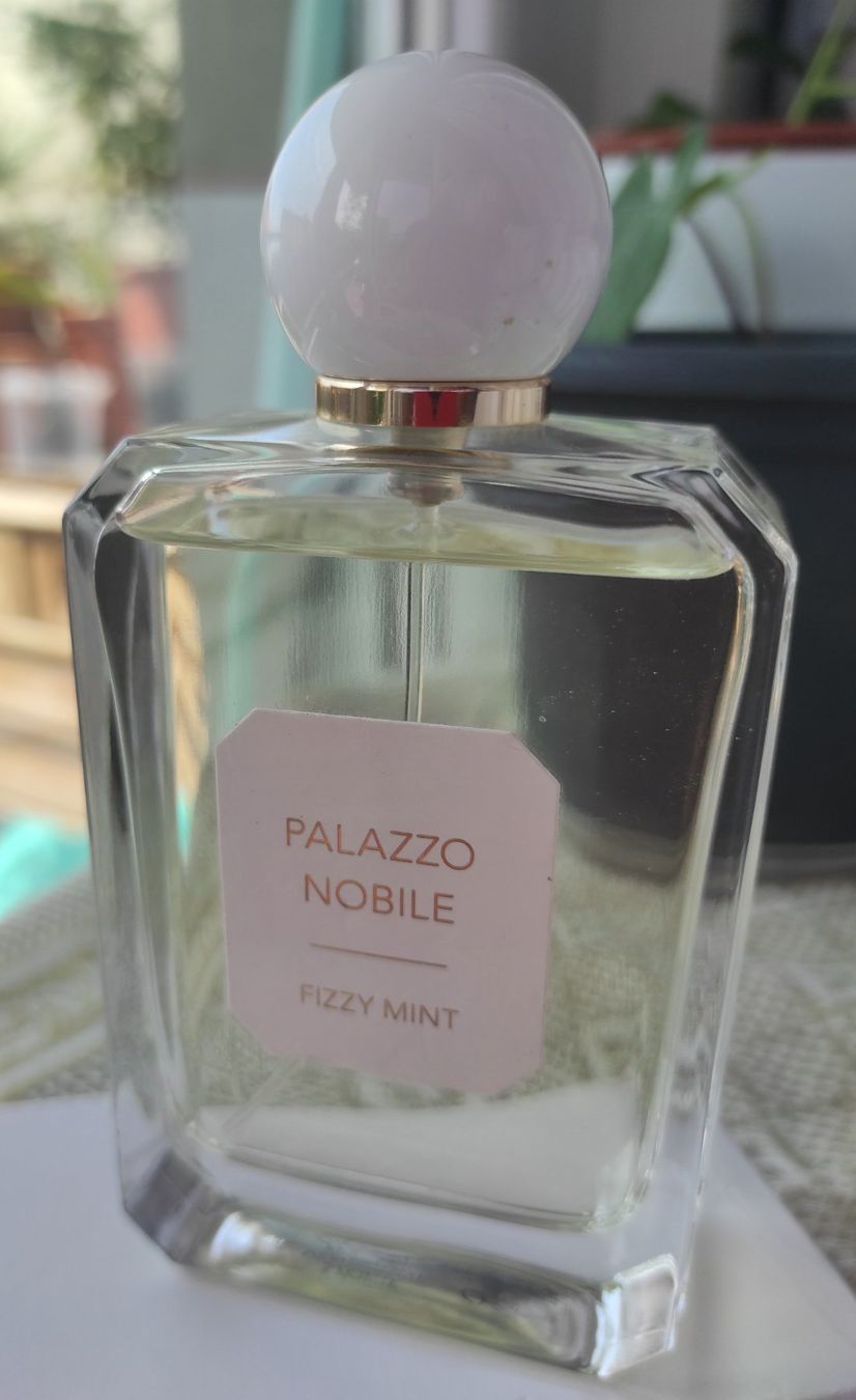 Profumi & Eau de Toilette: Palazzo Nobile Fizzy Mint Valmont 100ml – Usato da Renens VD venduto da cla_7zv5 3